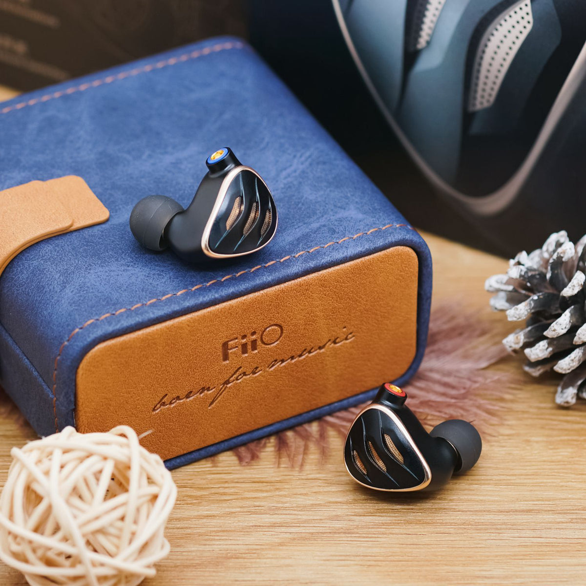 Fiio FH5s Pro 2BA + 2DD Hybrid Driver In-Ear Monitors — HiFiGo