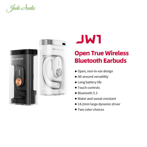 FiiO JadeAudio JW1 14.2mm Large Dynamic Driver Open True Wireless Bluetooth Earbuds HiFiGo 