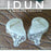 KINERA IDUN Deluxe Version In Ear Earphone HIFI Earphone Monitor Headset HiFiGo Skin Color 