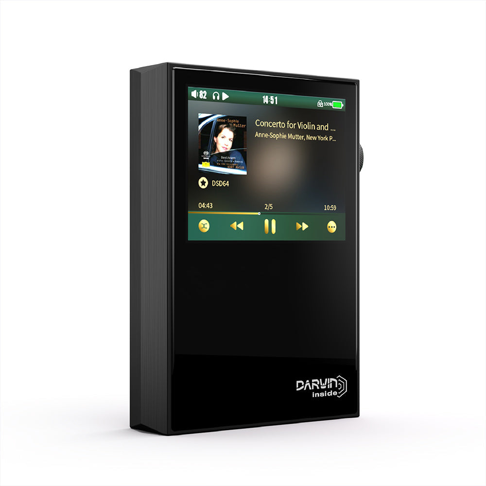 Pre-Order HiBy RS2 HiByOS PureAudio Version Portable Music Player With Darwin Audio Architecture HiFiGo 