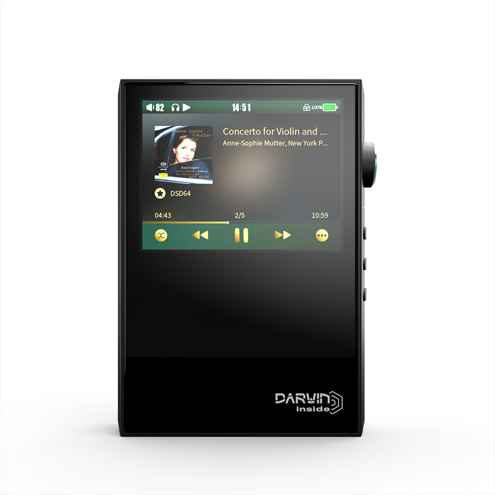 Pre-Order HiBy RS2 HiByOS PureAudio Version Portable Music Player With Darwin Audio Architecture HiFiGo 