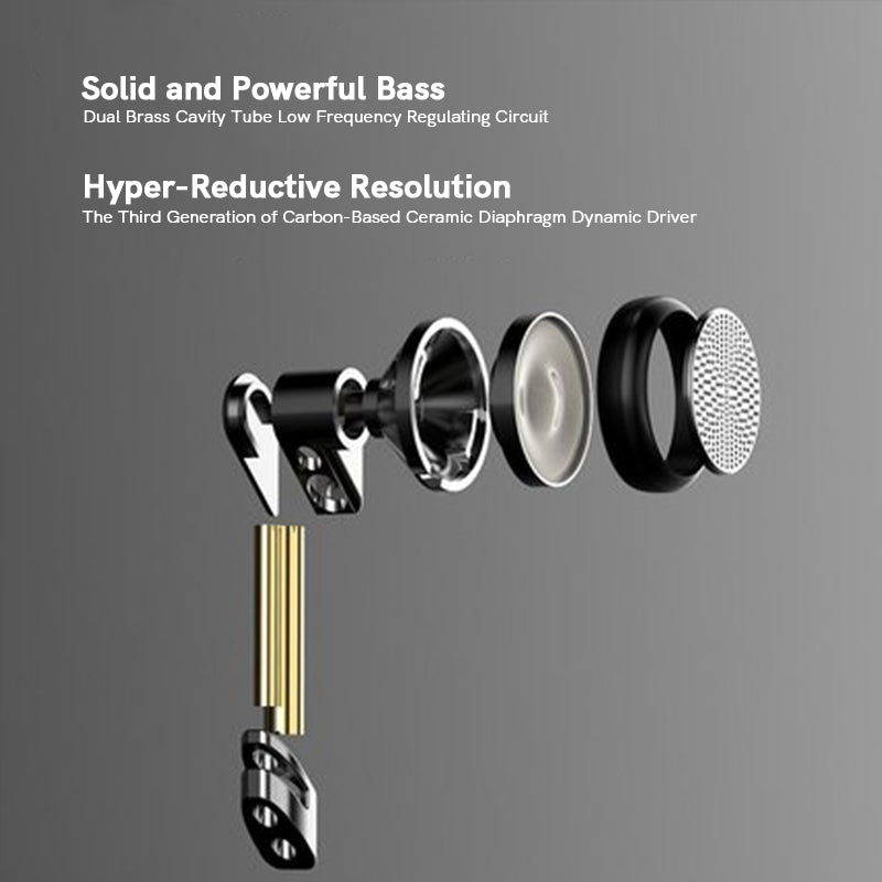 Rose Technics Martini Flagship Dynamic Driver Flat Earbuds HiFiGo 