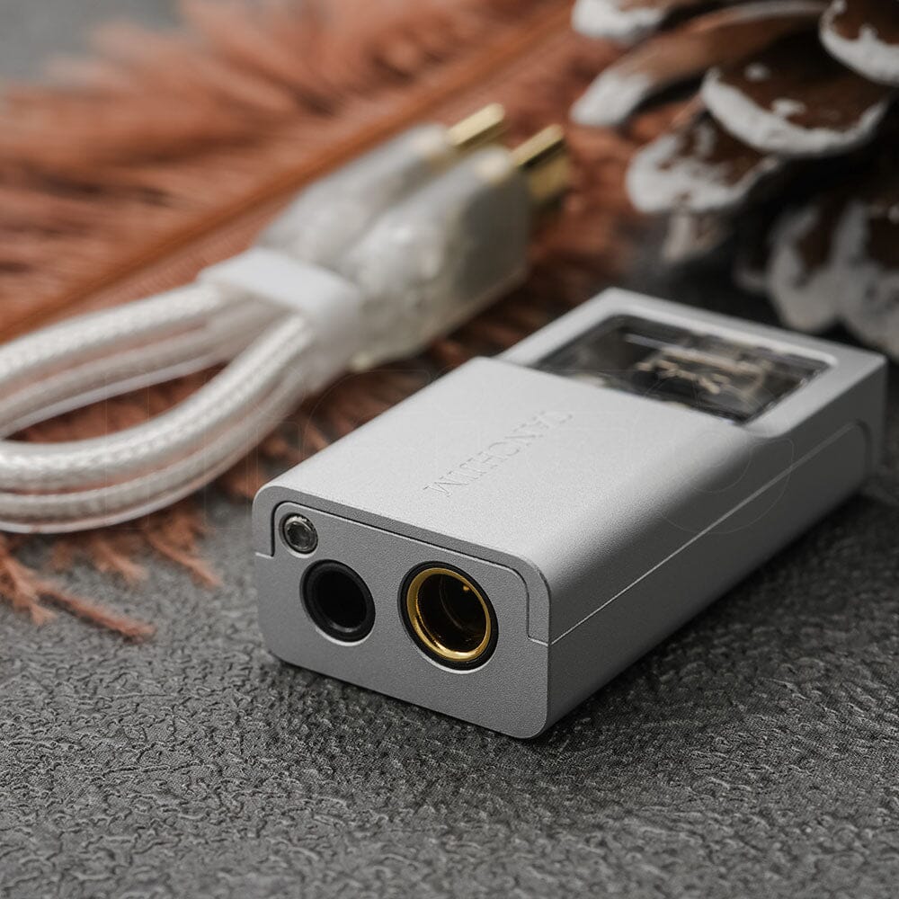 TANCHJIM Space Portable Dual High-performance DAC & Headphone AMP HiFiGo 