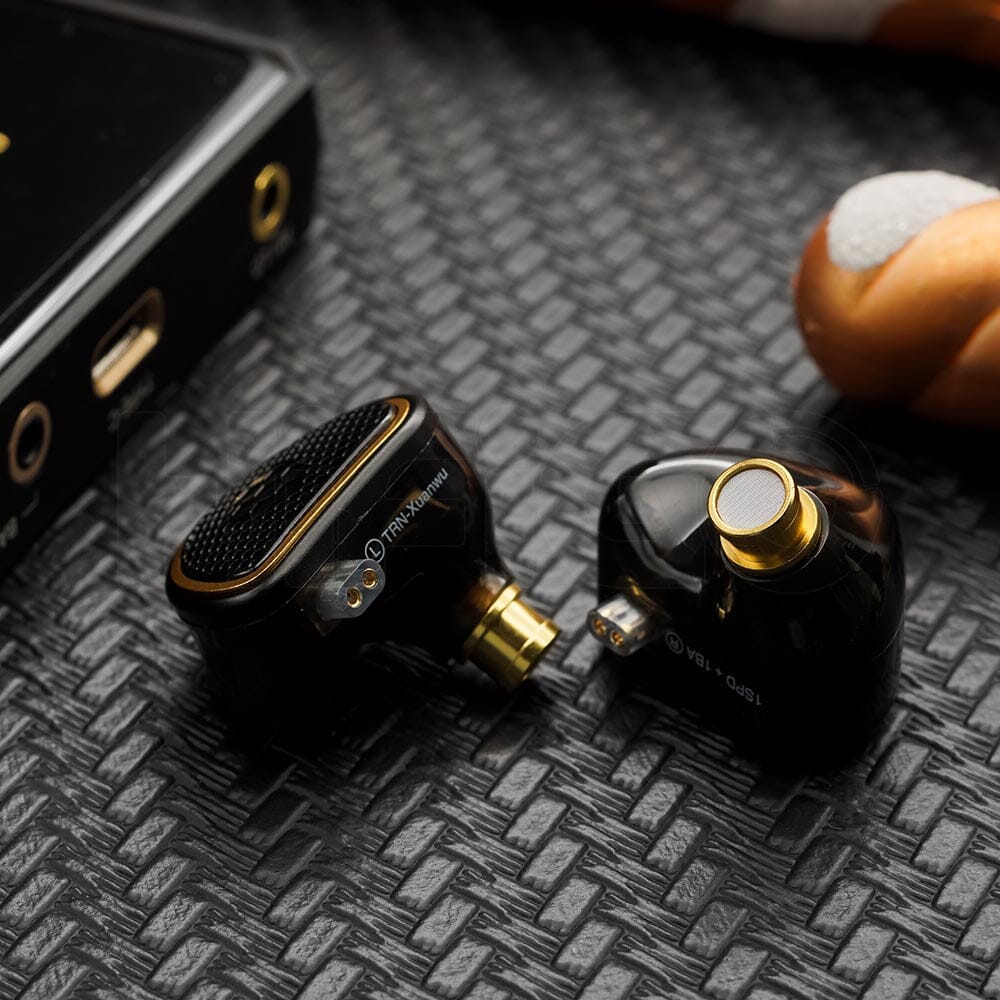 TRN Xuanwu 10mm Square Planar Driver + 1BA Hybrid In-Ear Monitors IEMs Earphone HiFiGo 