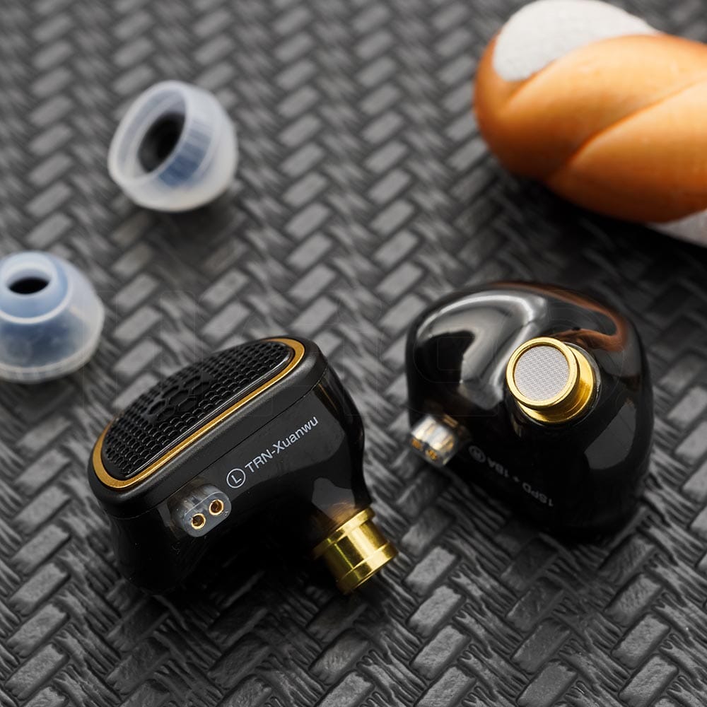 TRN Xuanwu 10mm Square Planar Driver + 1BA Hybrid In-Ear Monitors IEMs Earphone HiFiGo 
