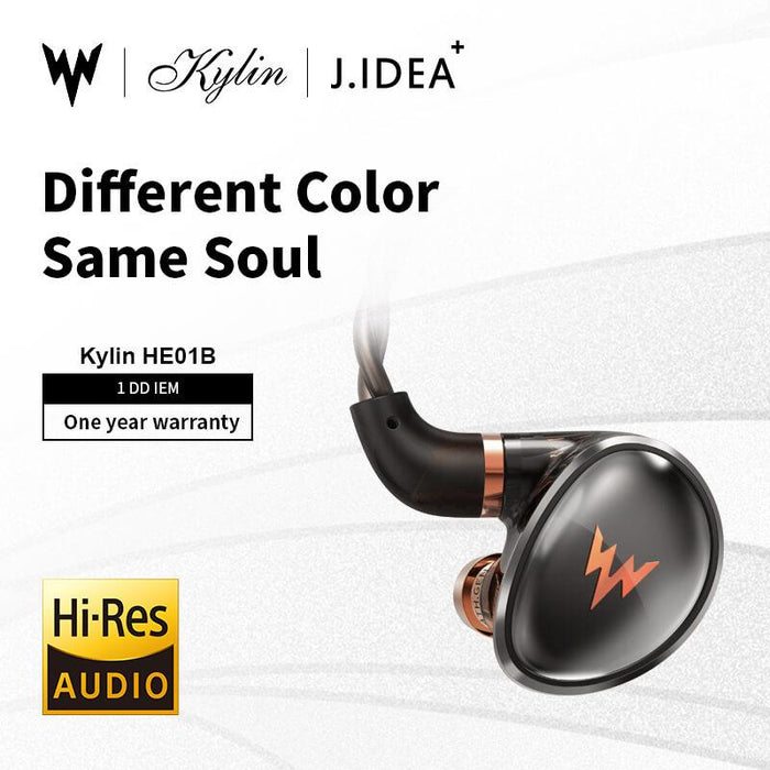 Whizzer Kylin HE01B 1DD In-Ear Monitor HiFiGo 